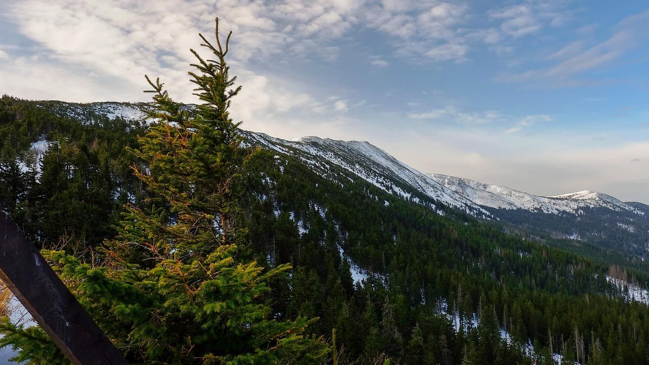 Widok z Glinnej Góry na Zatokę Gdańska