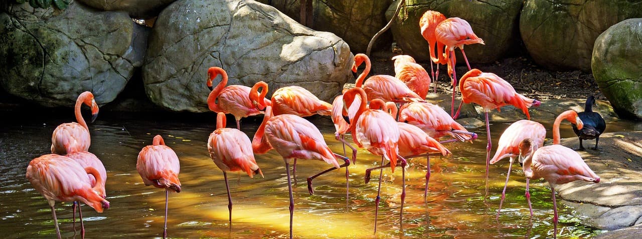 Lotnisko w Cartagena