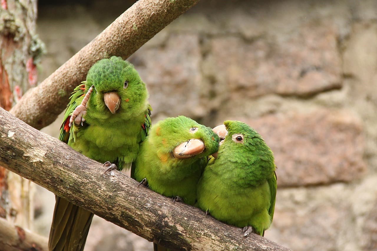 Zachód słońca z Praça do Pôr do Sol