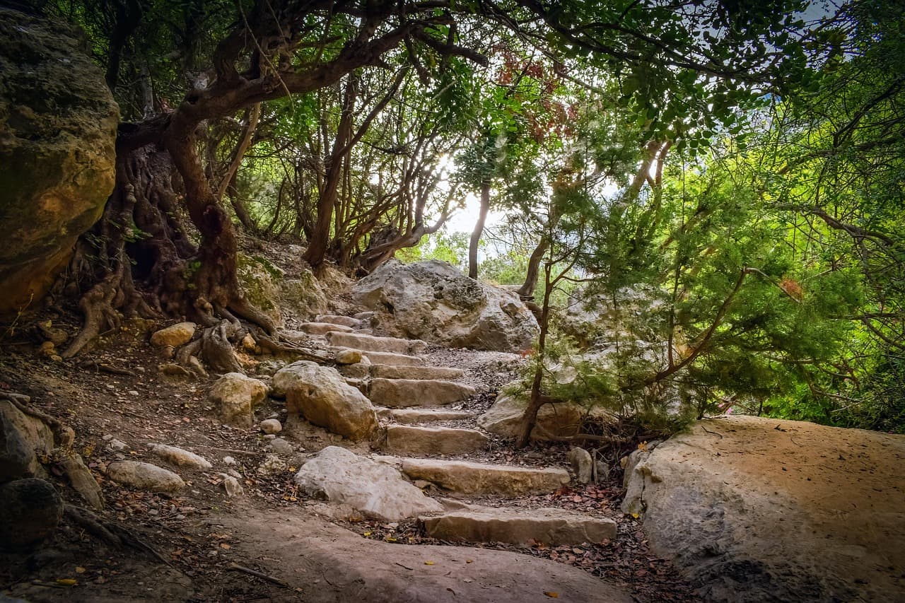 Zielony krajobraz Parku Narodowego Akamas