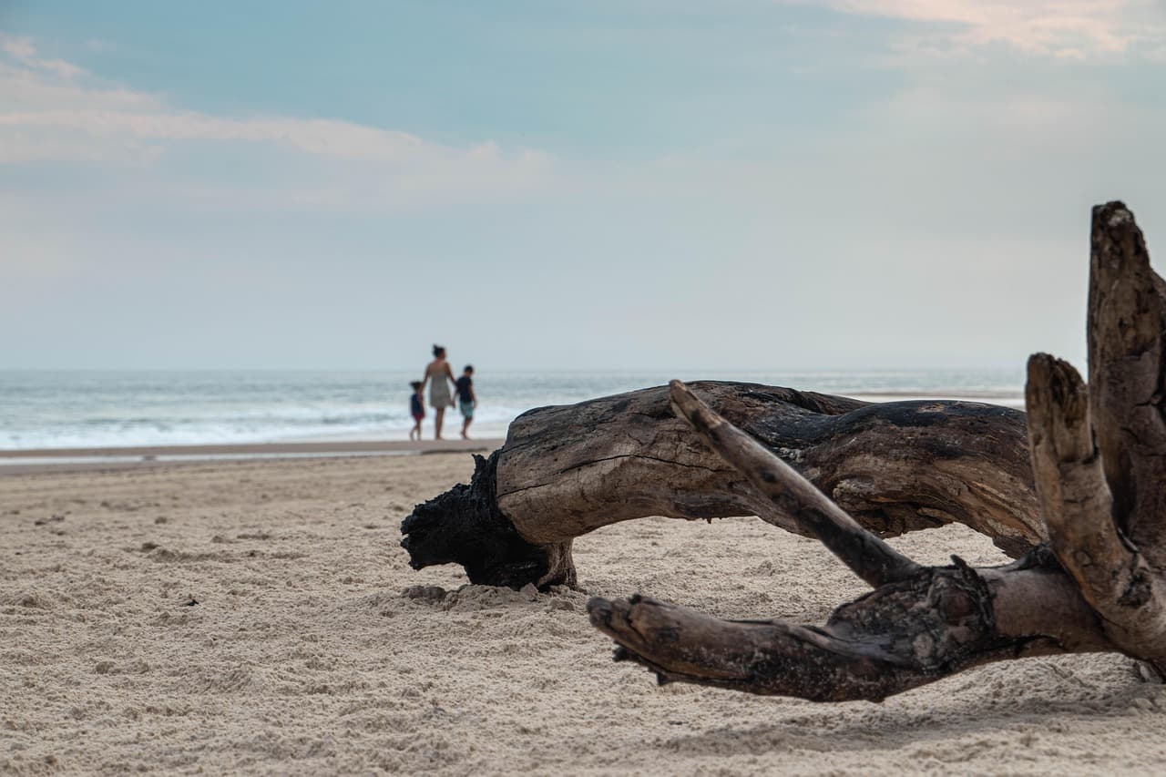 Champagne Beach — baner